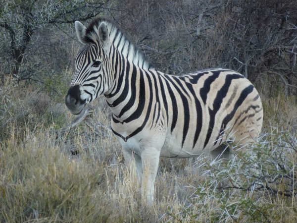 WhatsApp Image 2025-12-19 at 21.32.00